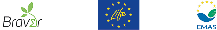 braver life emas
