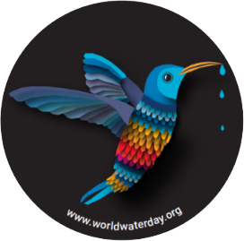 kolibri