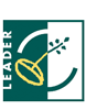 Leaders