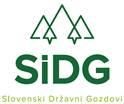 SiDG 1