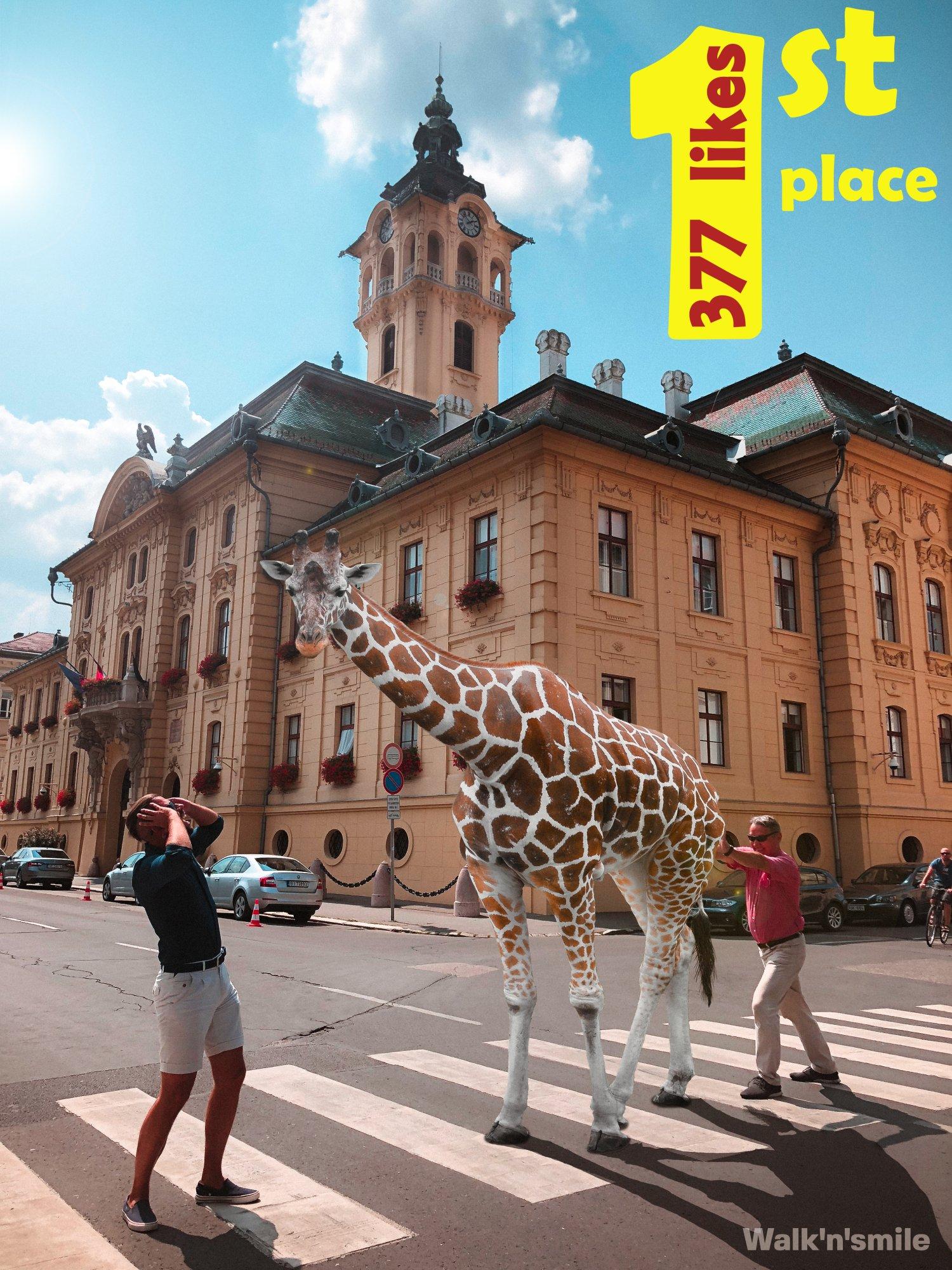 WalknSmile Zirafa 1