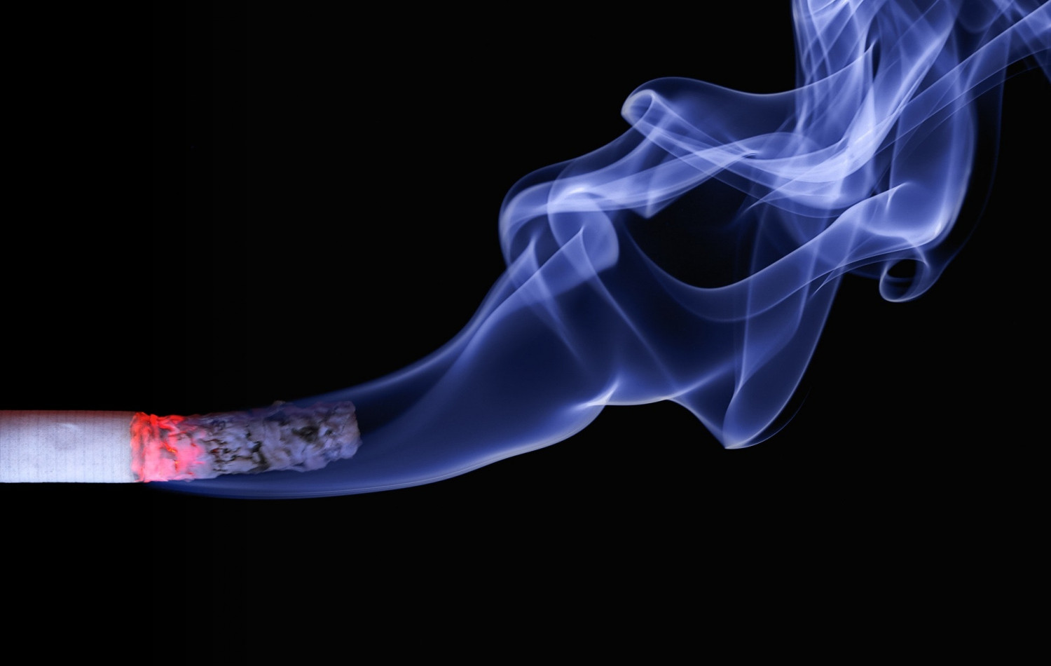 ash burning cigar 70088