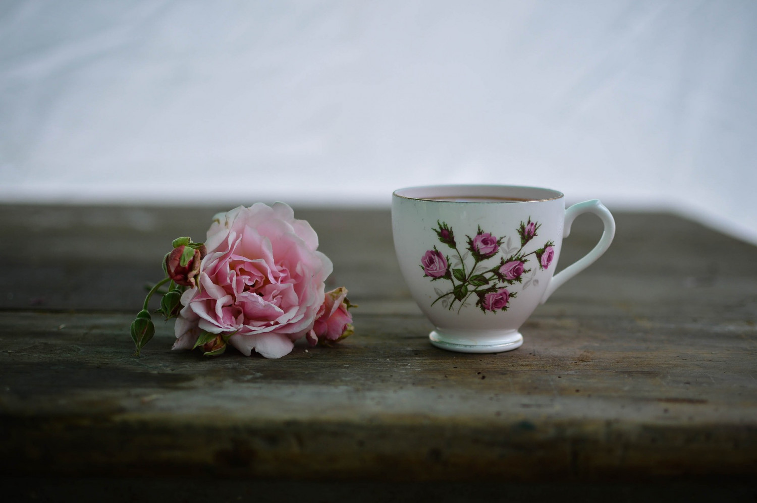 coffee 1845623 1920