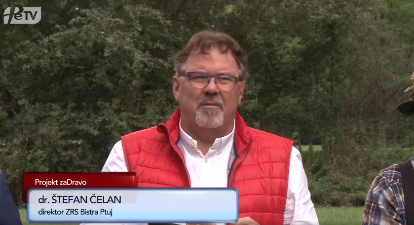 dr.StefanCelan