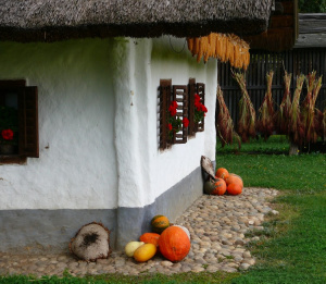 houses-bistra