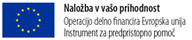 Logo naložba v vašo prihodnost copy