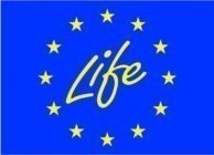life 194x140