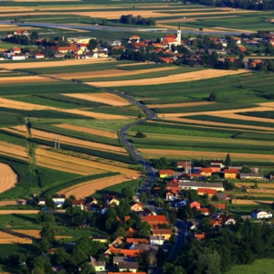 Markovci