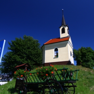 Jušinci