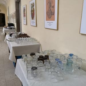 IMG_20181206_080844