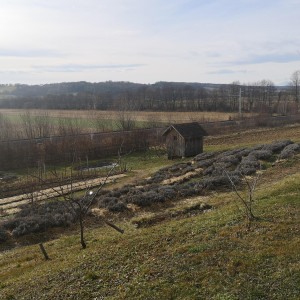 15a